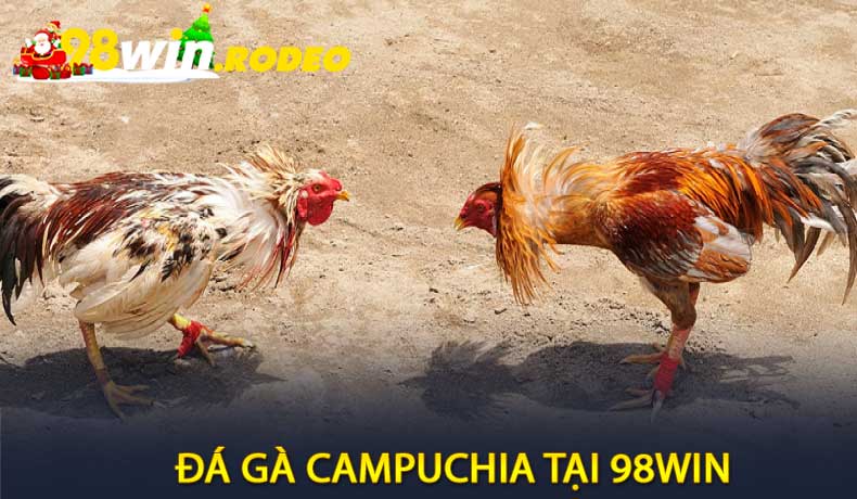 Đá Gà Campuchia