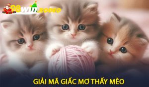 Giải Mã Giấc Mơ Thấy Mèo